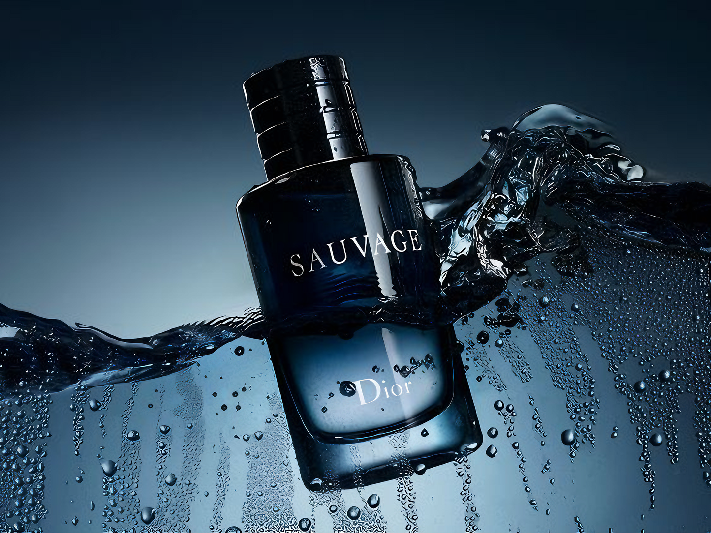 2X1 SAUVAGE DE DIOR + ONE MILLION