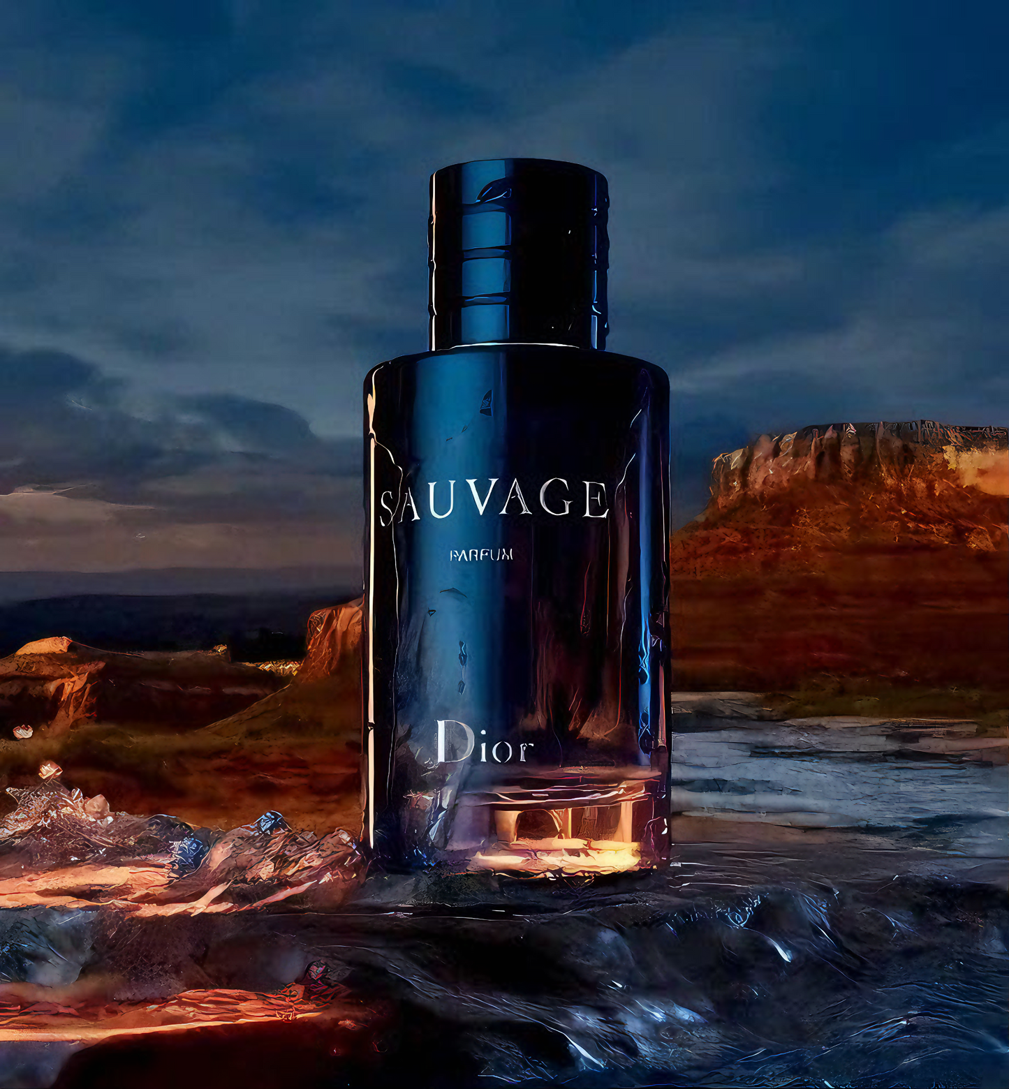 2X1 SAUVAGE DE DIOR + ONE MILLION